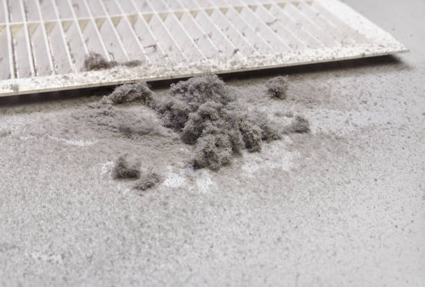 Best Best Air Duct Cleaning Company  in Mill Creek, WA