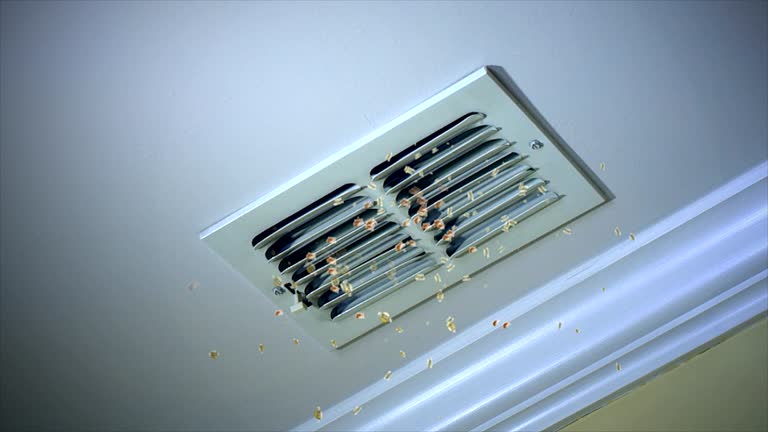 Best HVAC Duct Inspection Services  in Mill Creek, WA