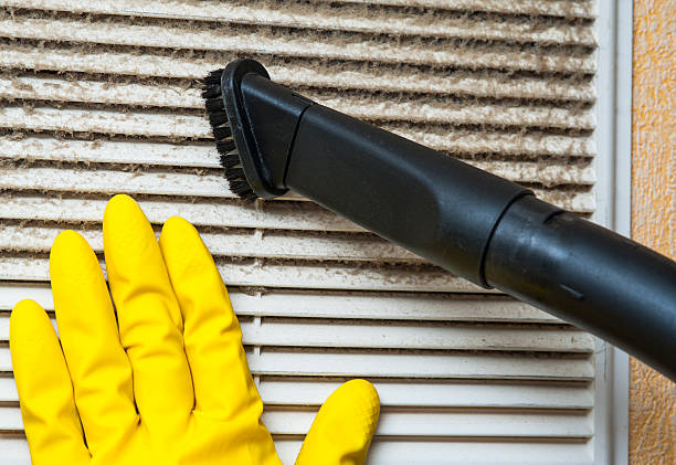 Best Home Air Vent Cleaning  in Mill Creek, WA
