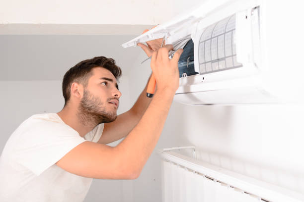 Air Duct Mold Removal in Mill Creek, WA